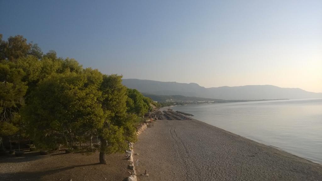 Siagas Beach Hotel ไอโกย เธโอโดโรอิ ภายนอก รูปภาพ