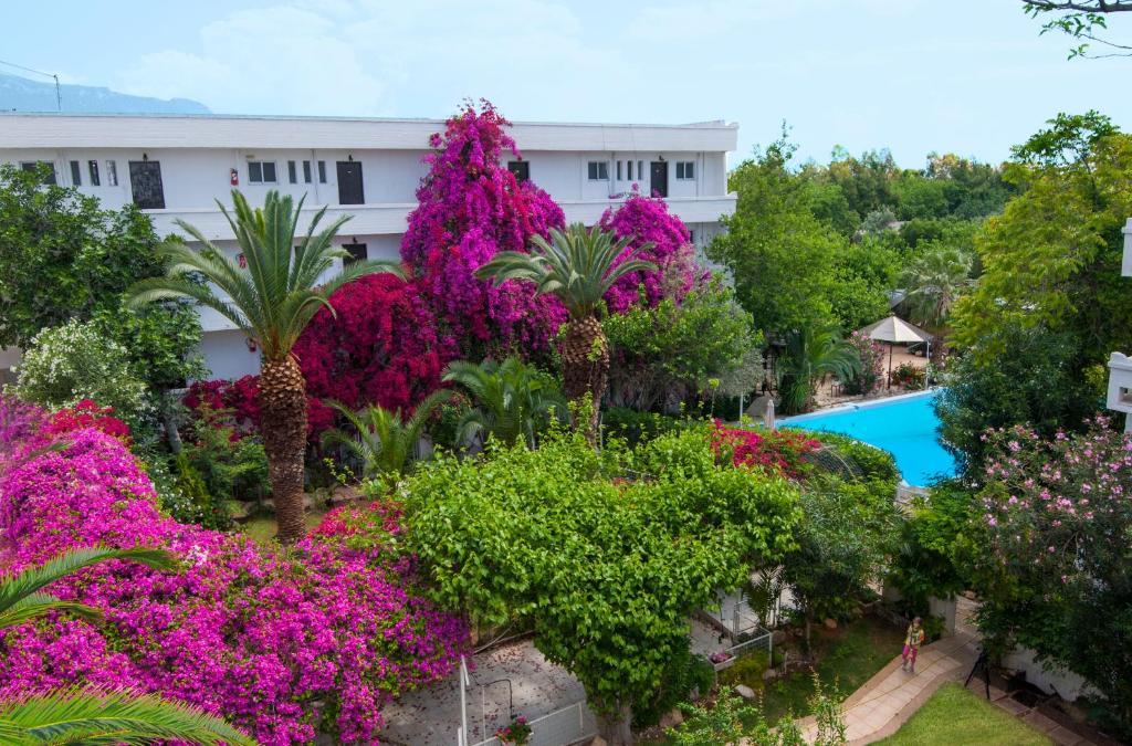 Siagas Beach Hotel ไอโกย เธโอโดโรอิ ภายนอก รูปภาพ